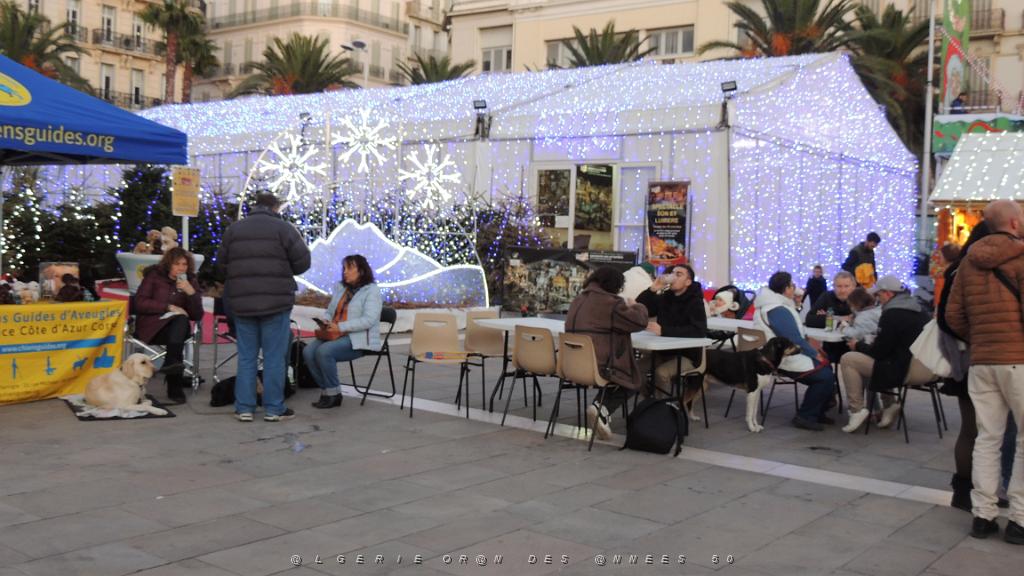 2023 12 19 TOULON AVANT NOEL (64).JPG -           